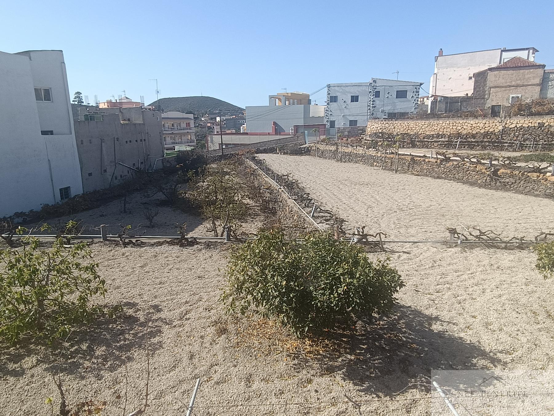 Venta de finca rústica en San Isidro de Abona