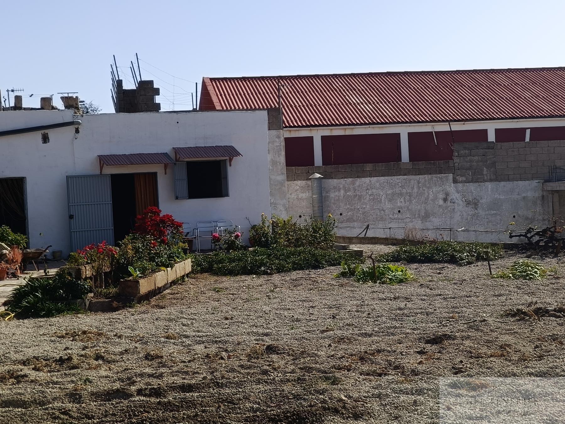 Venta de finca rústica en San Isidro de Abona