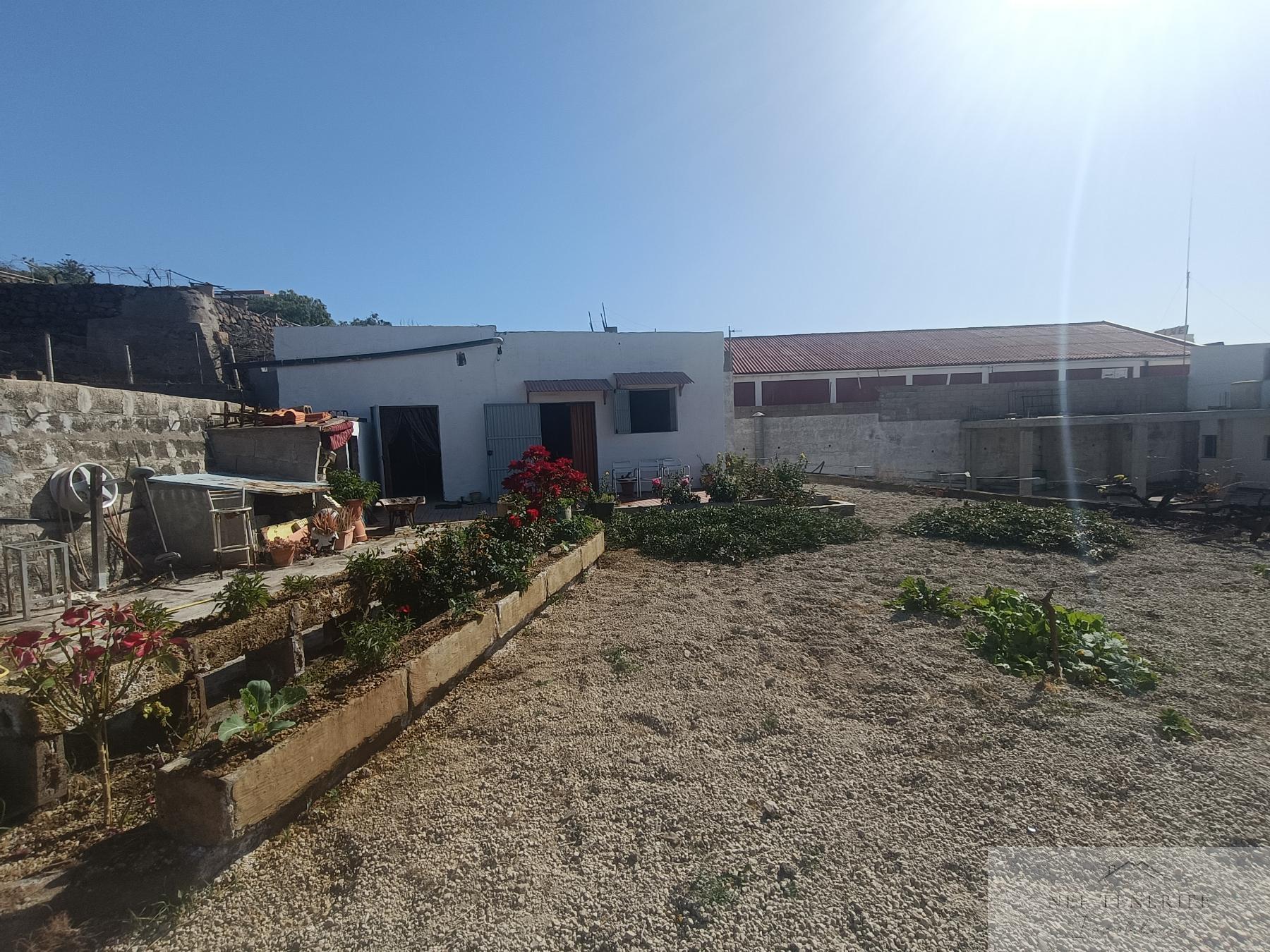 Venta de finca rústica en San Isidro de Abona