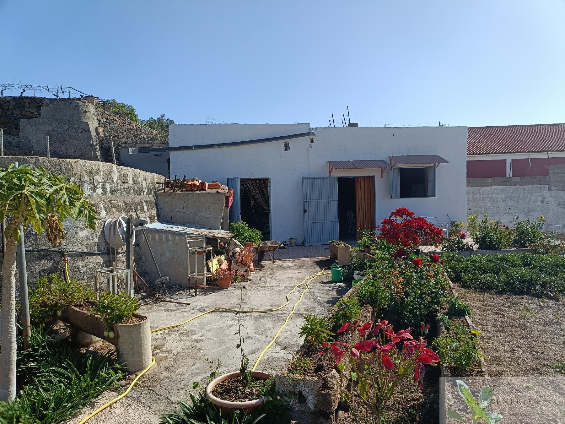 Venta de finca rústica en San Isidro de Abona