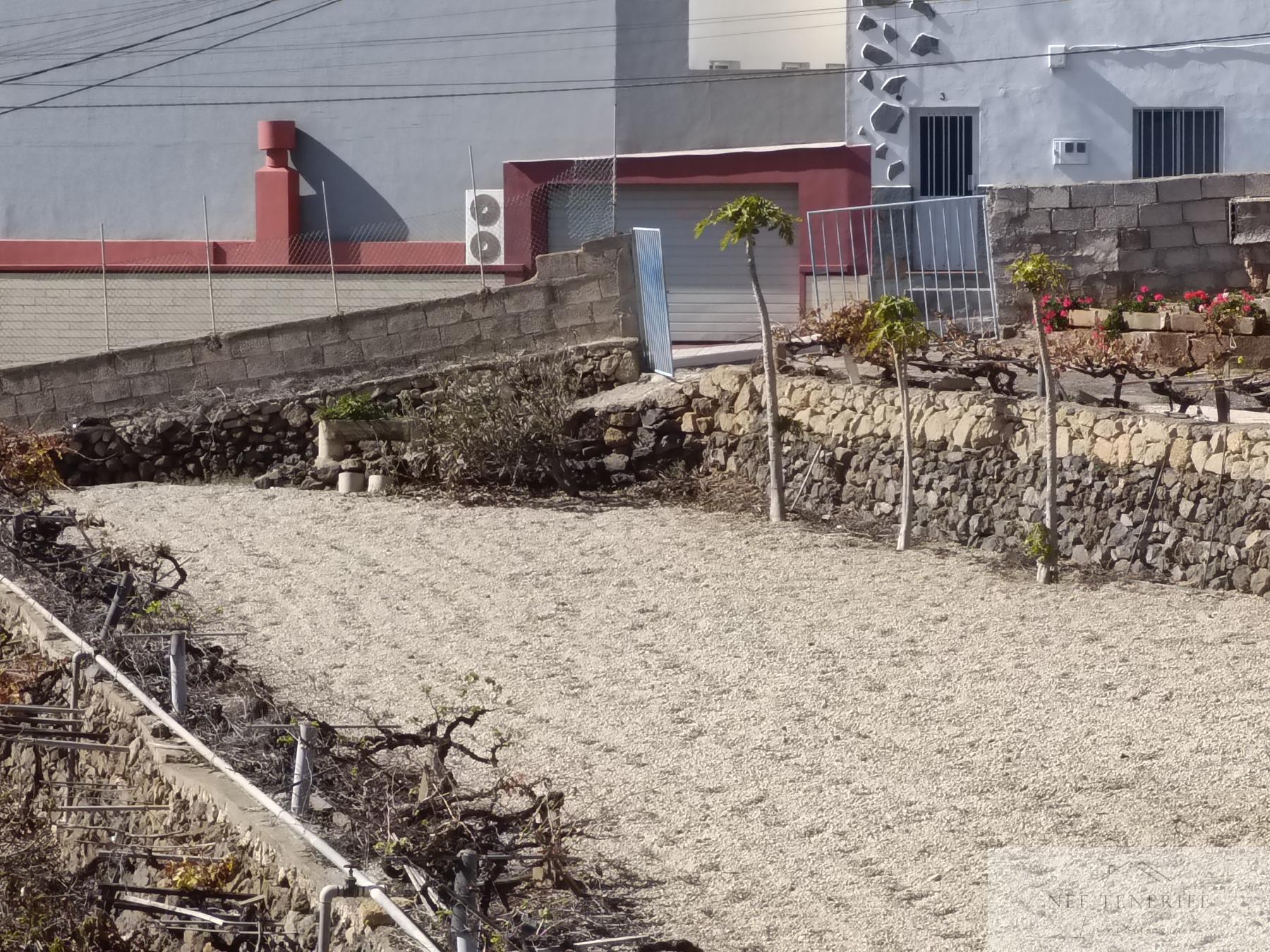 Venta de finca rústica en San Isidro de Abona