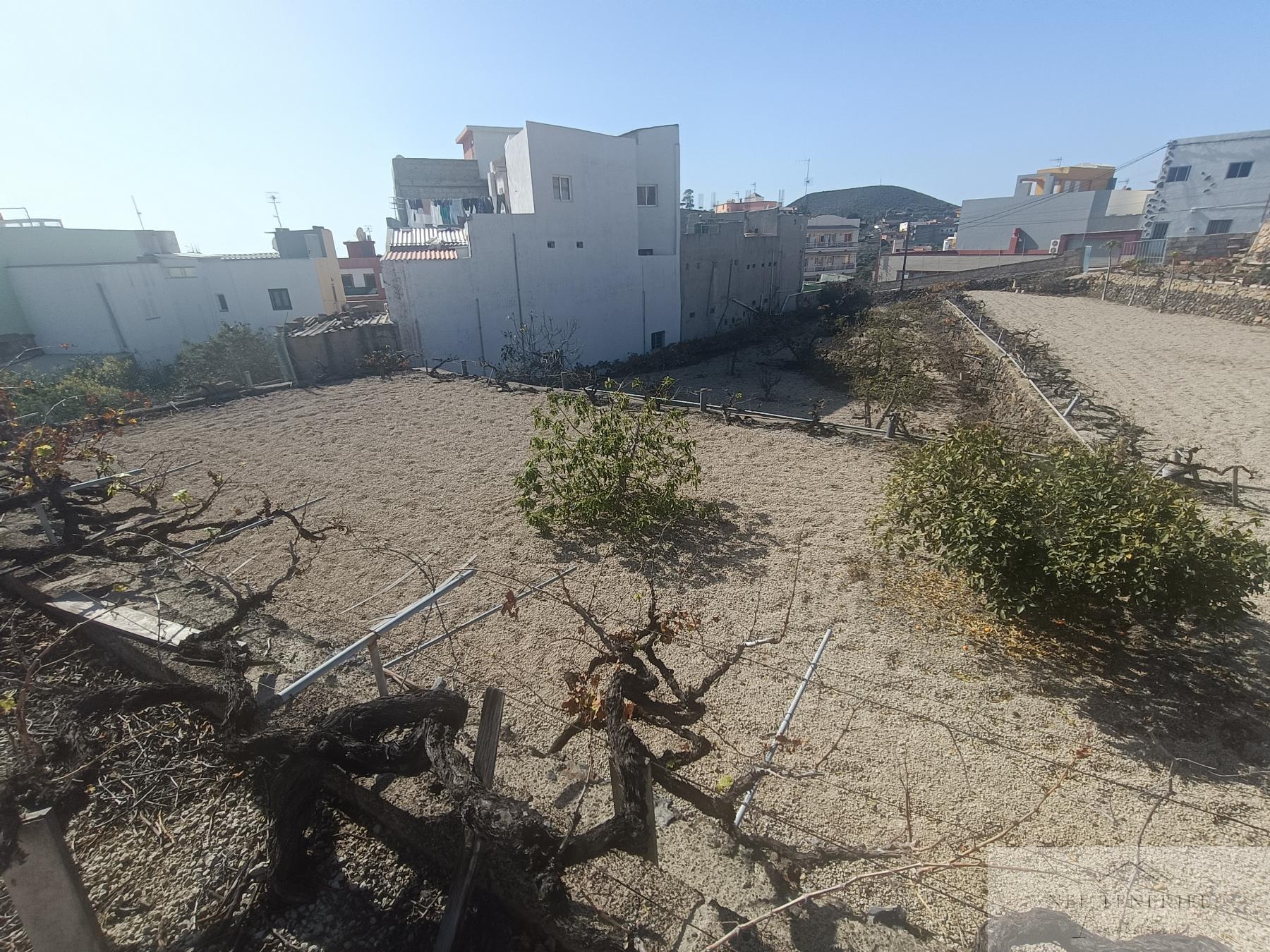 Venta de finca rústica en San Isidro de Abona