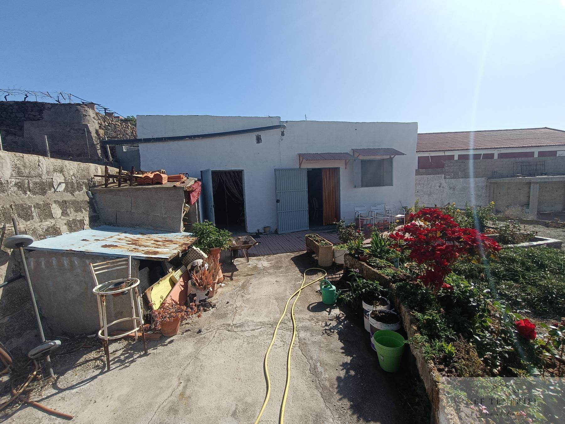 Venta de finca rústica en San Isidro de Abona