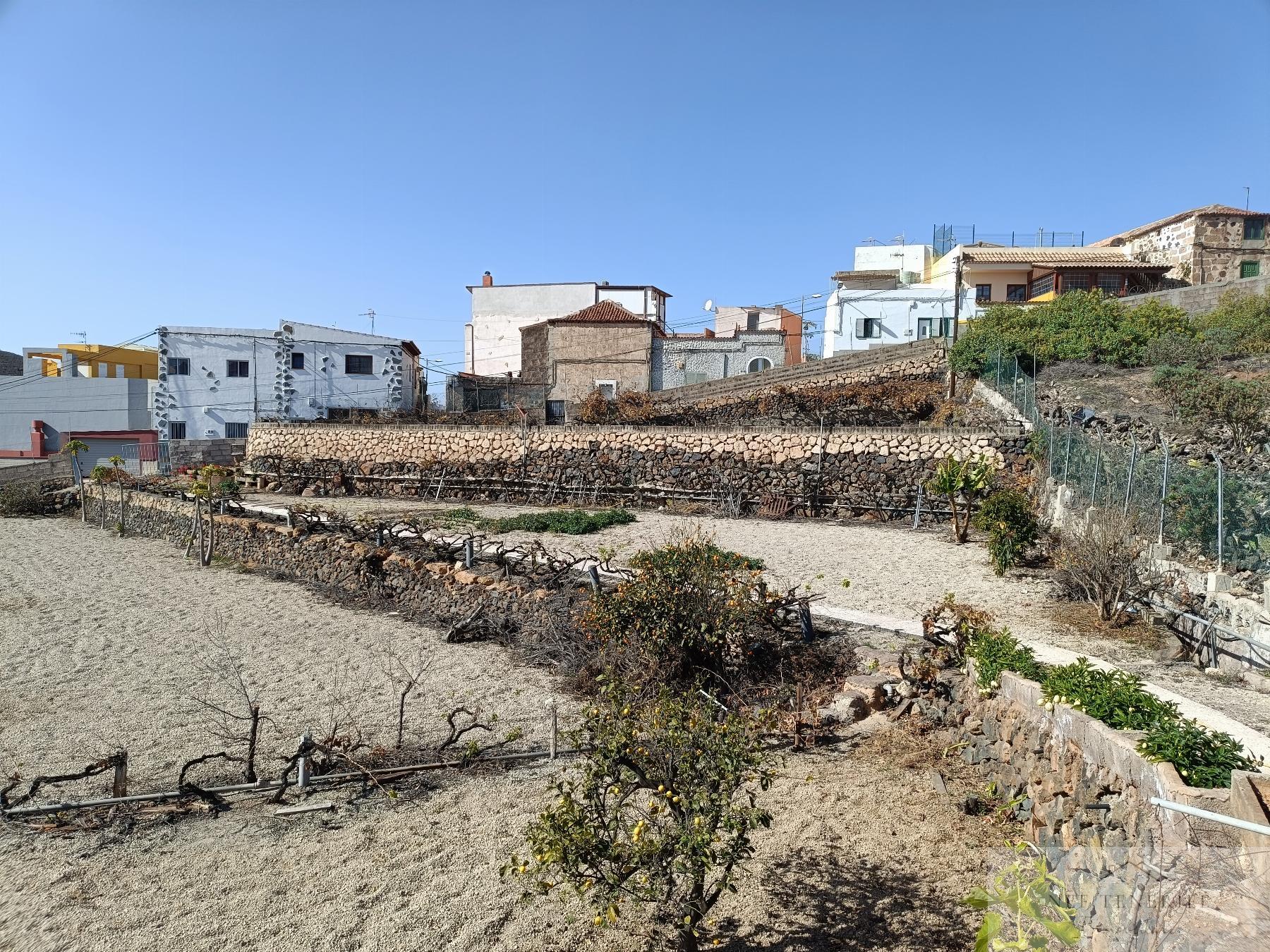 Venta de finca rústica en San Isidro de Abona