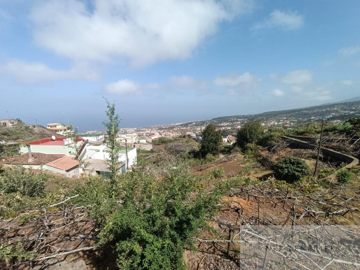 For sale of rural property in Icod de los Vinos