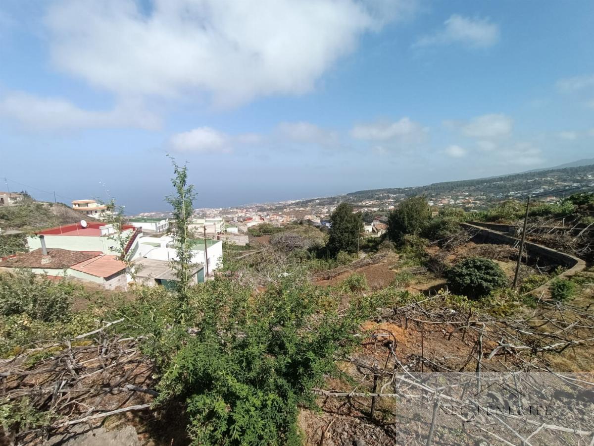 For sale of rural property in Icod de los Vinos