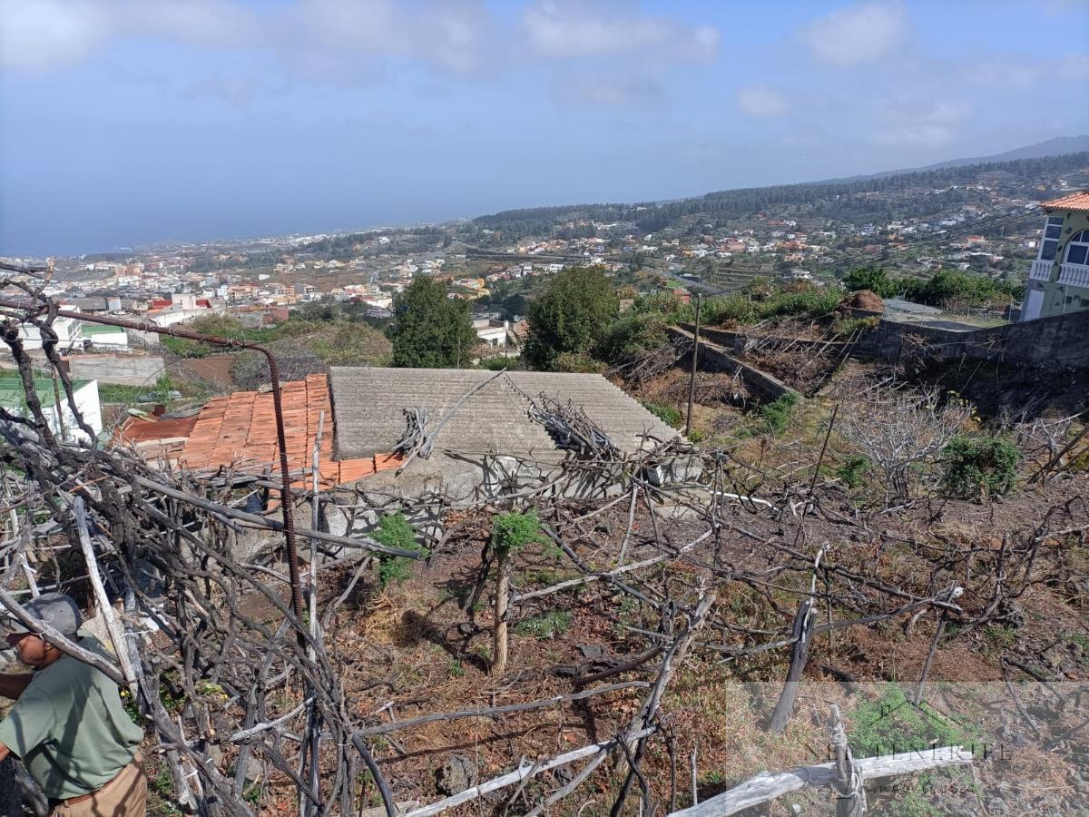 For sale of rural property in Icod de los Vinos