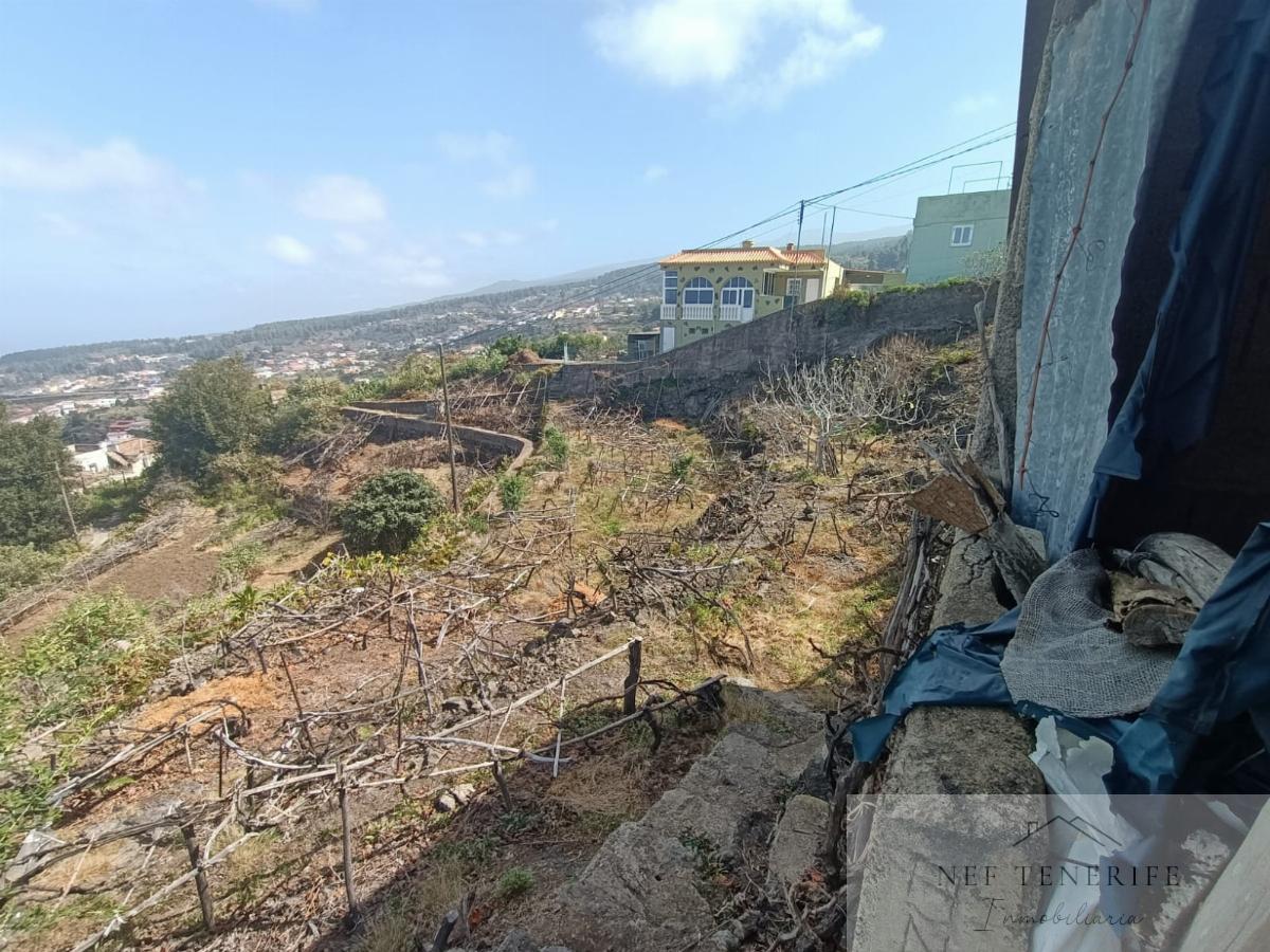 Venta de finca rústica en Icod de los Vinos