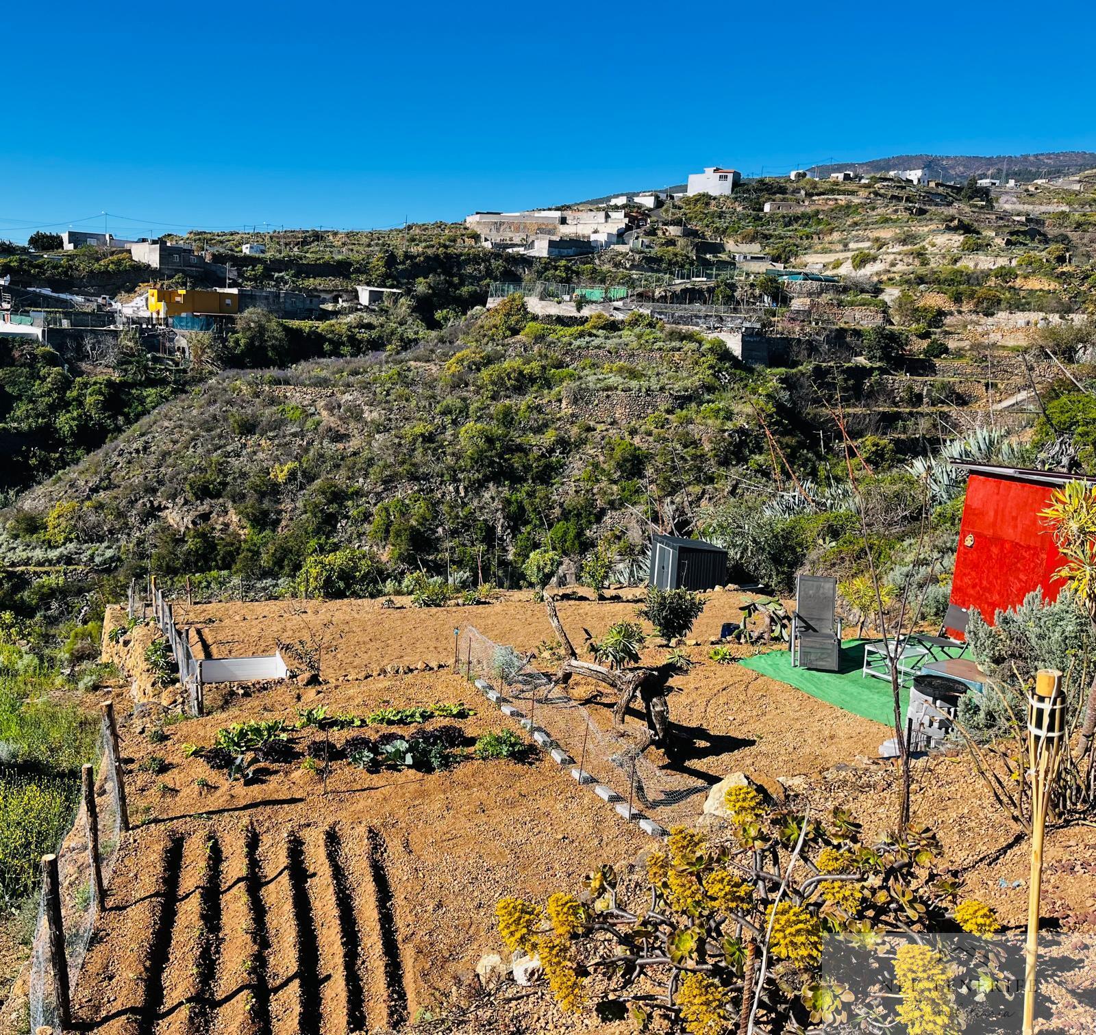 Venta de casa en Fasnia