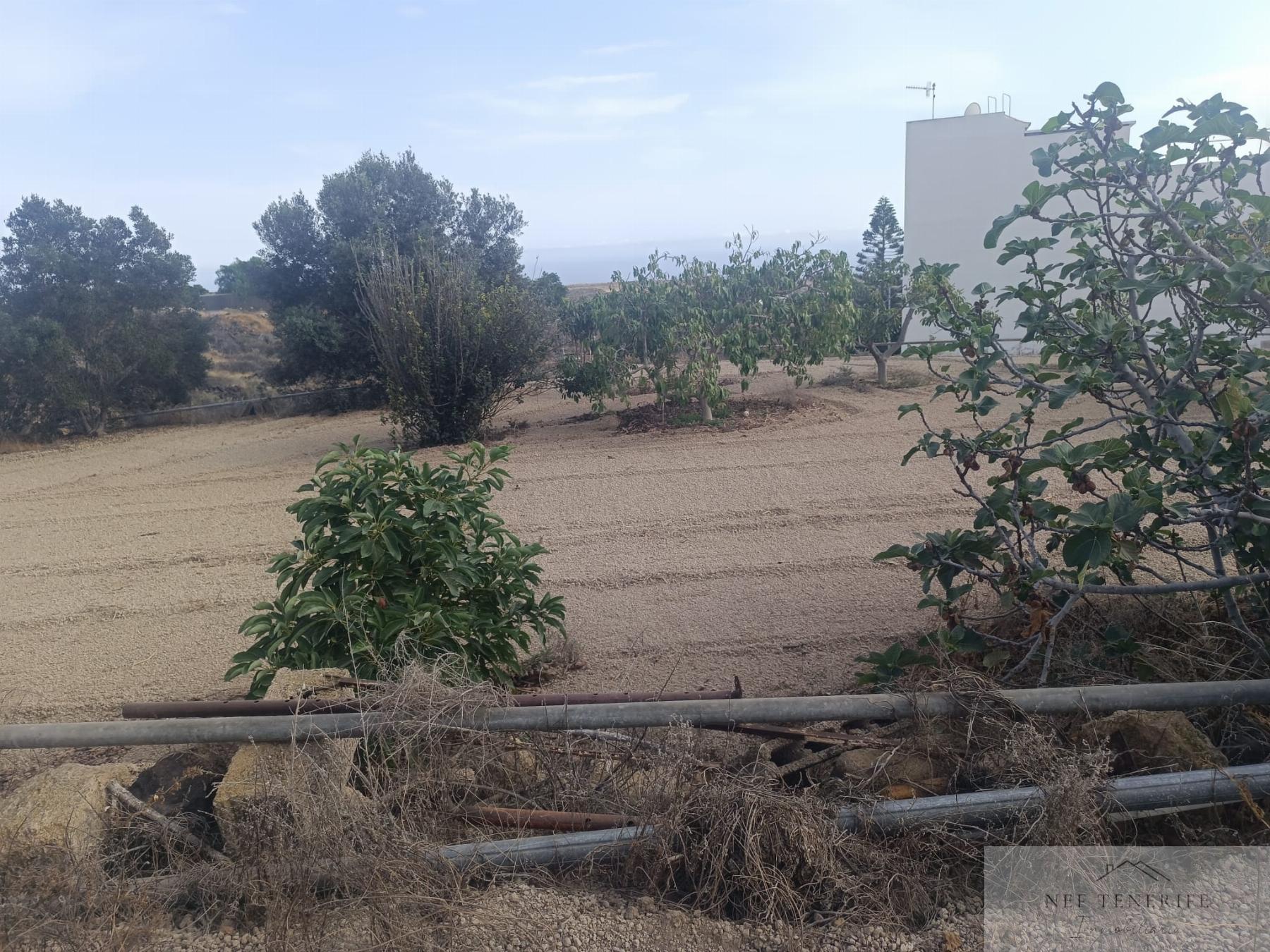 Venta de finca rústica en San Miguel de Abona