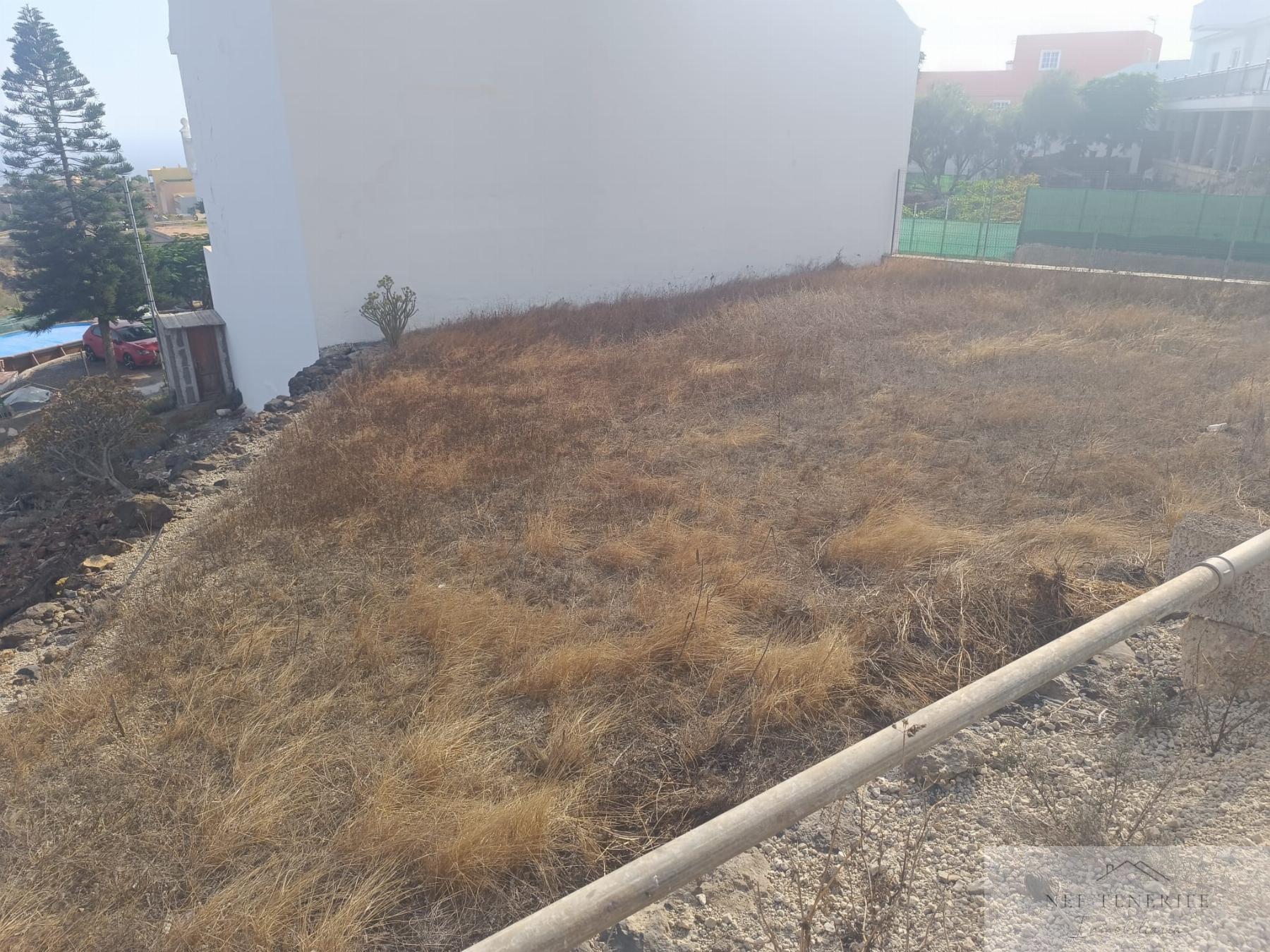 Venta de finca rústica en San Miguel de Abona