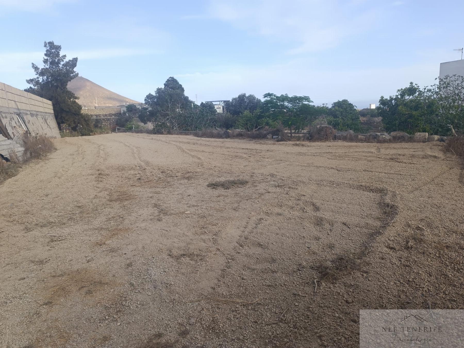Venta de finca rústica en San Miguel de Abona