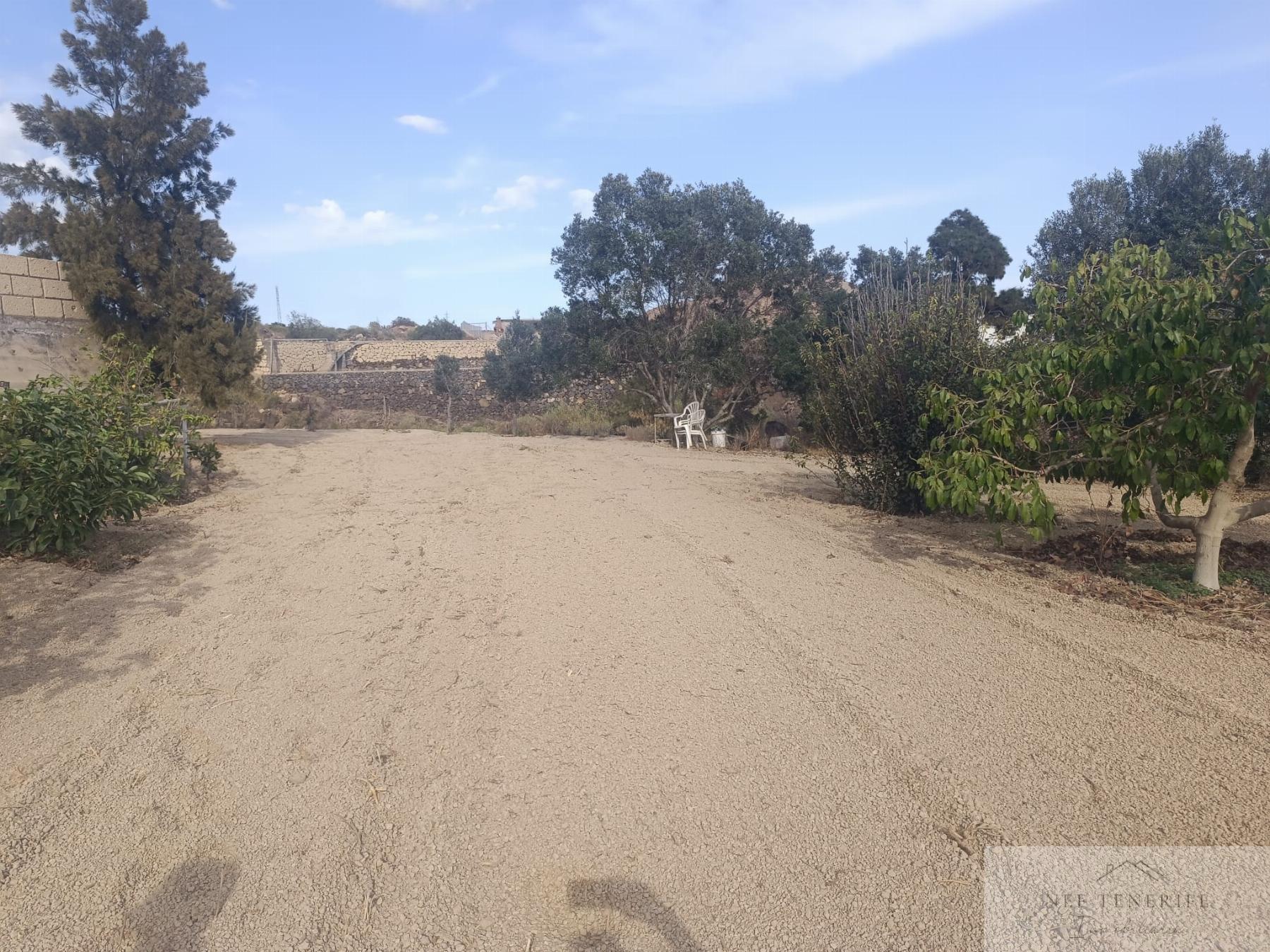 Venta de finca rústica en San Miguel de Abona