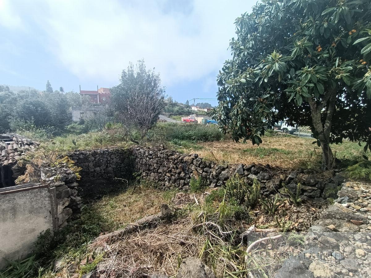 Venta de finca rústica en Icod de los Vinos