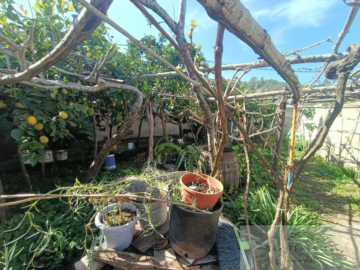 Venta de casa en Icod de los Vinos