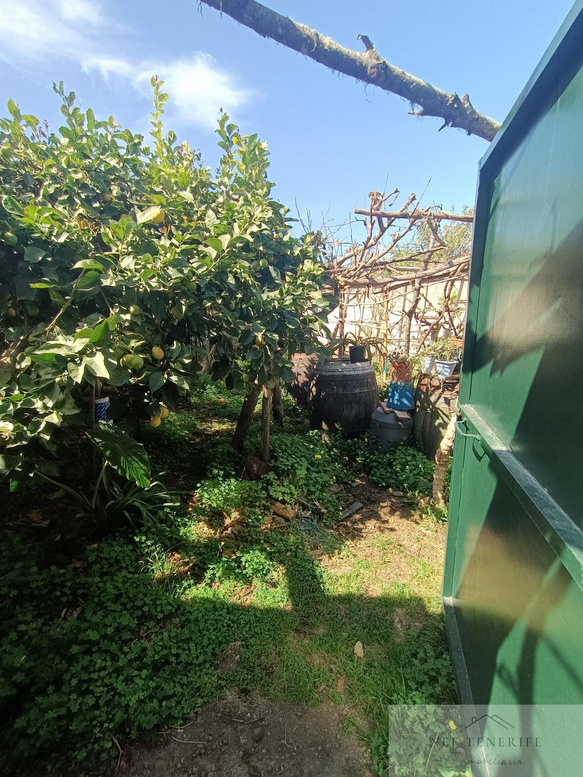 Venta de casa en Icod de los Vinos