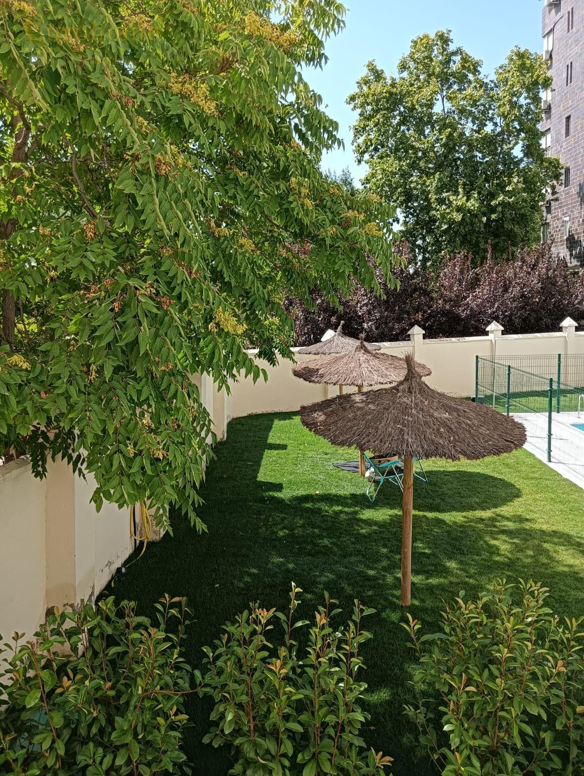 Jardín