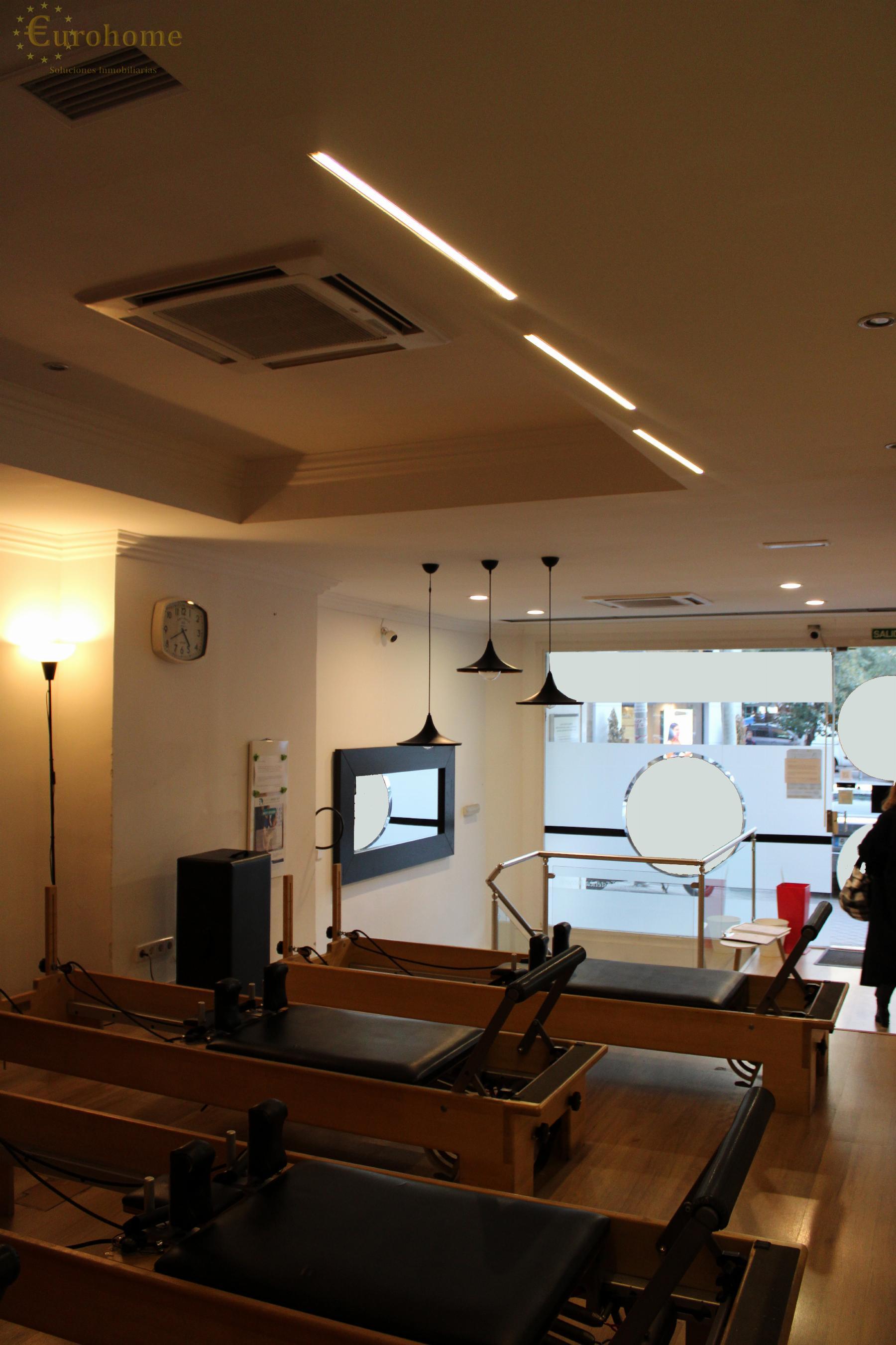 House body
