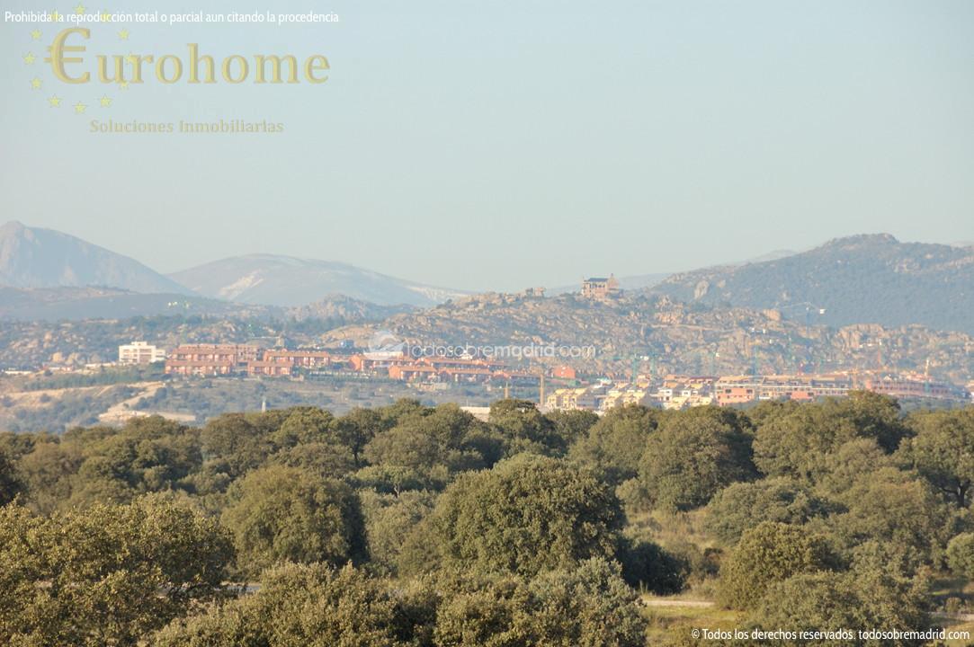 Transfert de local commercial dans Torrelodones