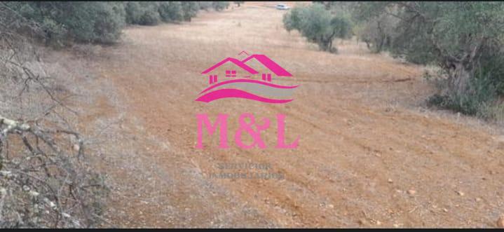 Venta de finca rústica en Don Álvaro