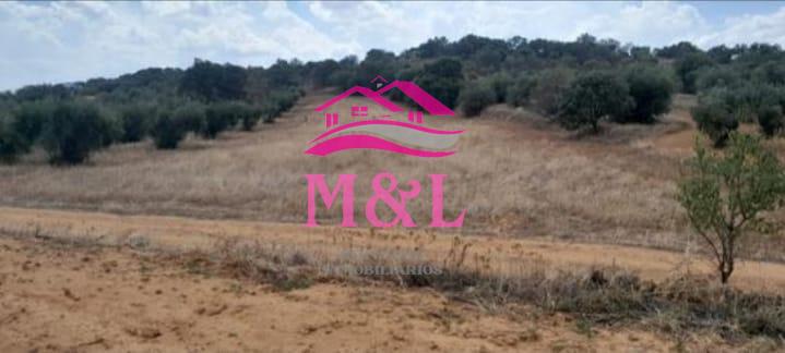 Venta de finca rústica en Don Álvaro
