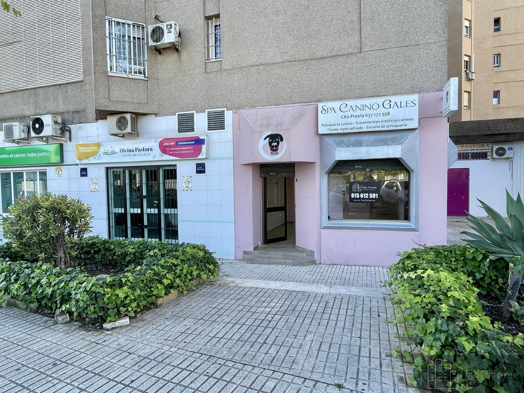 Alquiler de local comercial en Jerez de la Frontera