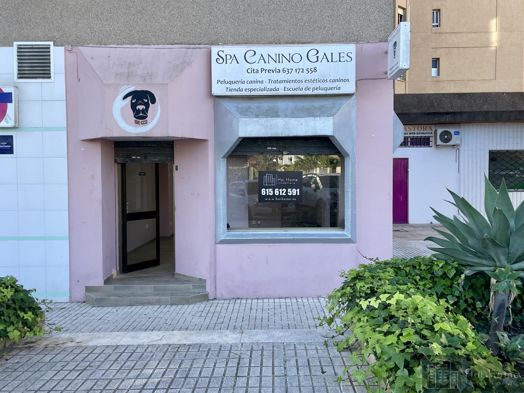 For rent of commercial in Jerez de la Frontera