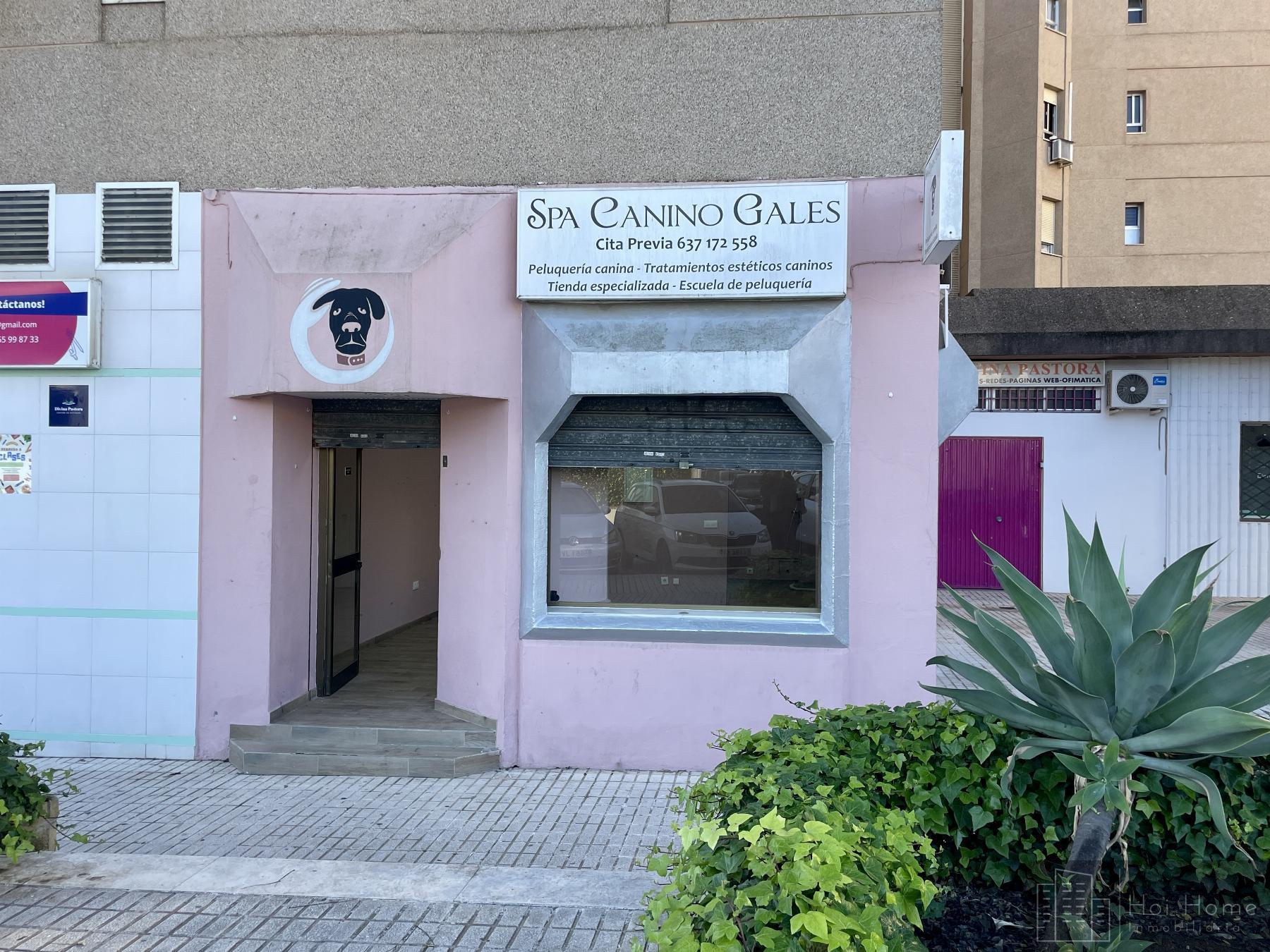 Alquiler de local comercial en Jerez de la Frontera
