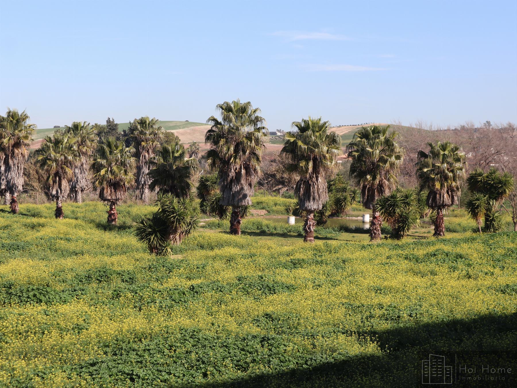 For sale of recreation property in Arcos de la Frontera