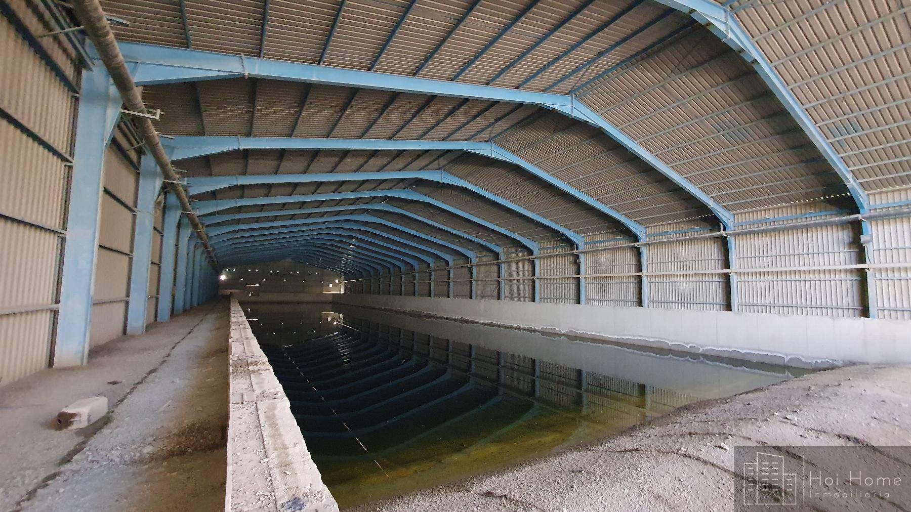 For sale of industrial plant/warehouse in Arcos de la Frontera