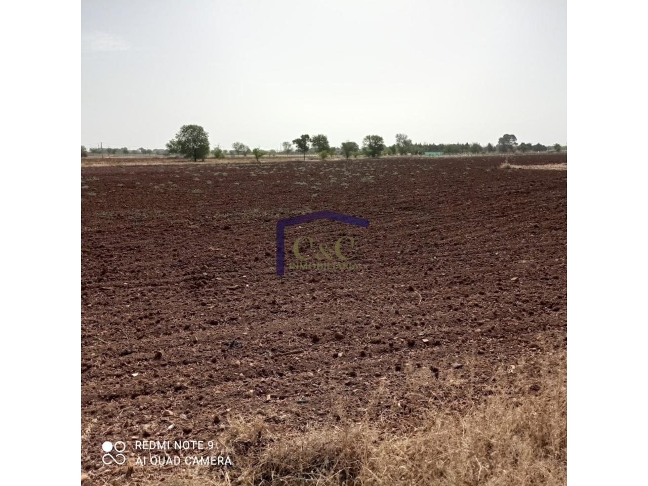 Venta de finca rústica en Manzanares