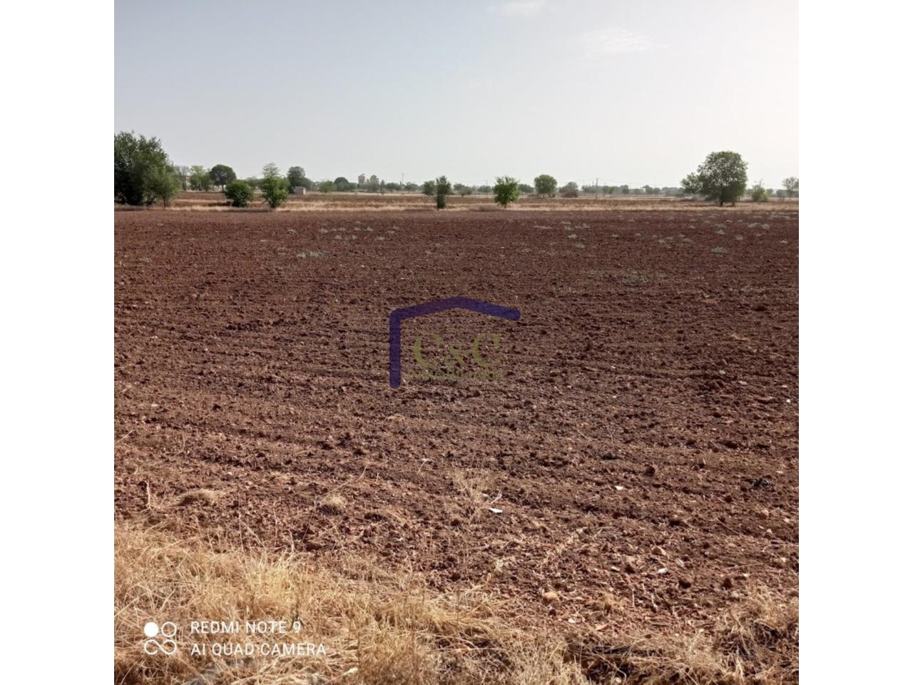 Venta de finca rústica en Manzanares