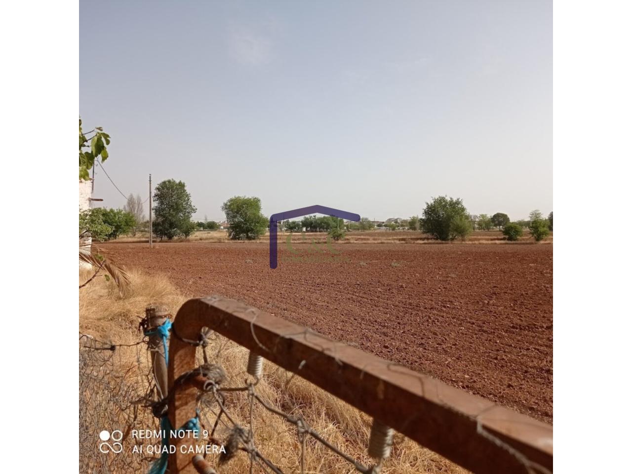 Venta de finca rústica en Manzanares