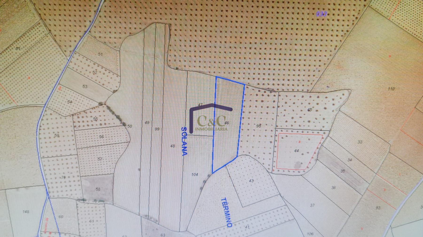 Venta de finca rústica en La Solana