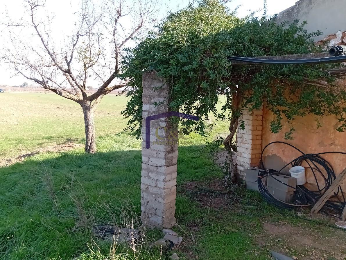 Venta de finca rústica en Manzanares