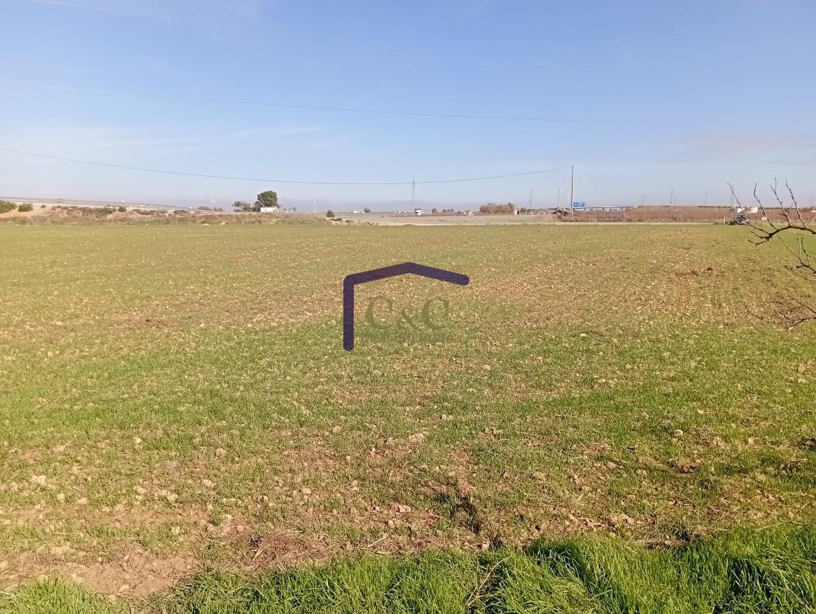 Venta de finca rústica en Manzanares