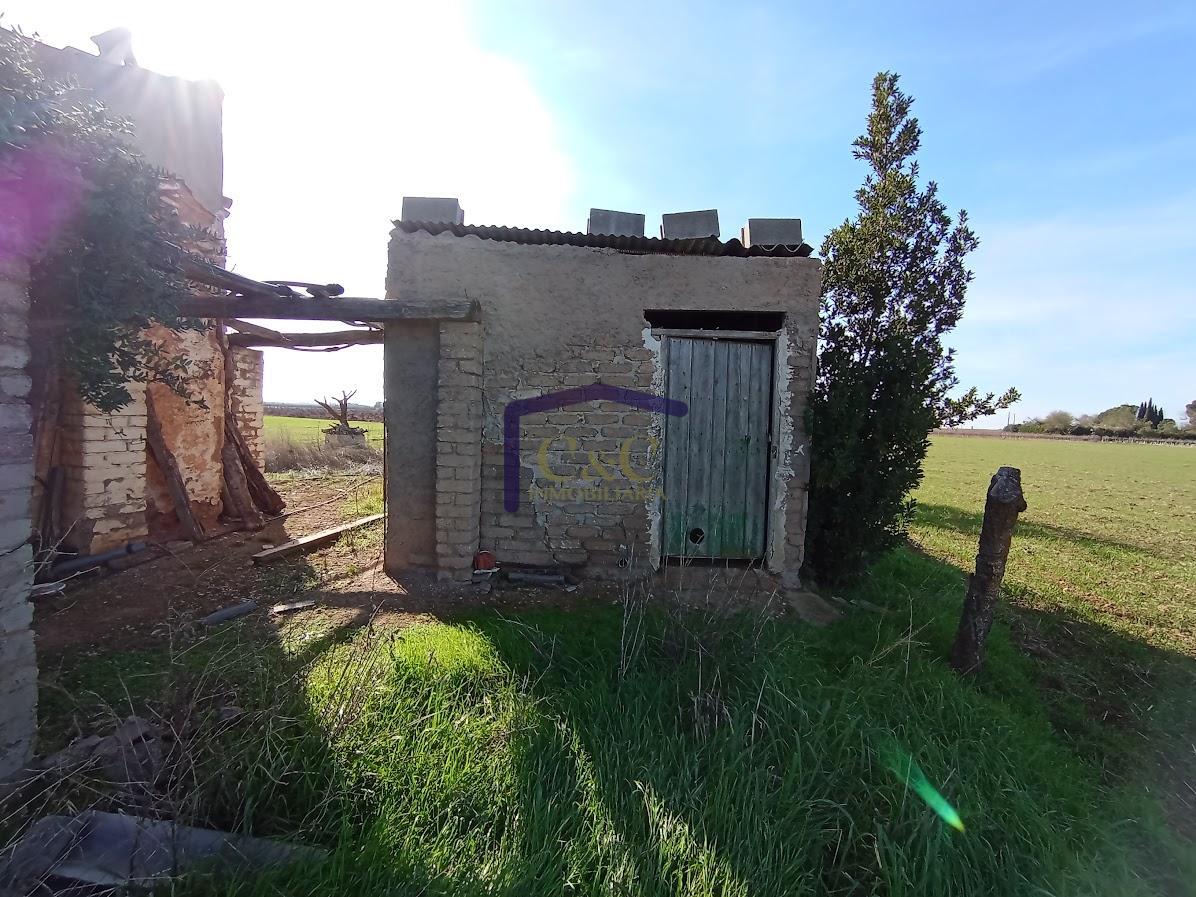 Venta de finca rústica en Manzanares