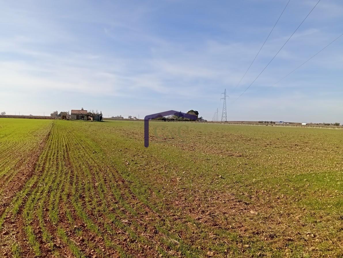 Venta de finca rústica en Manzanares