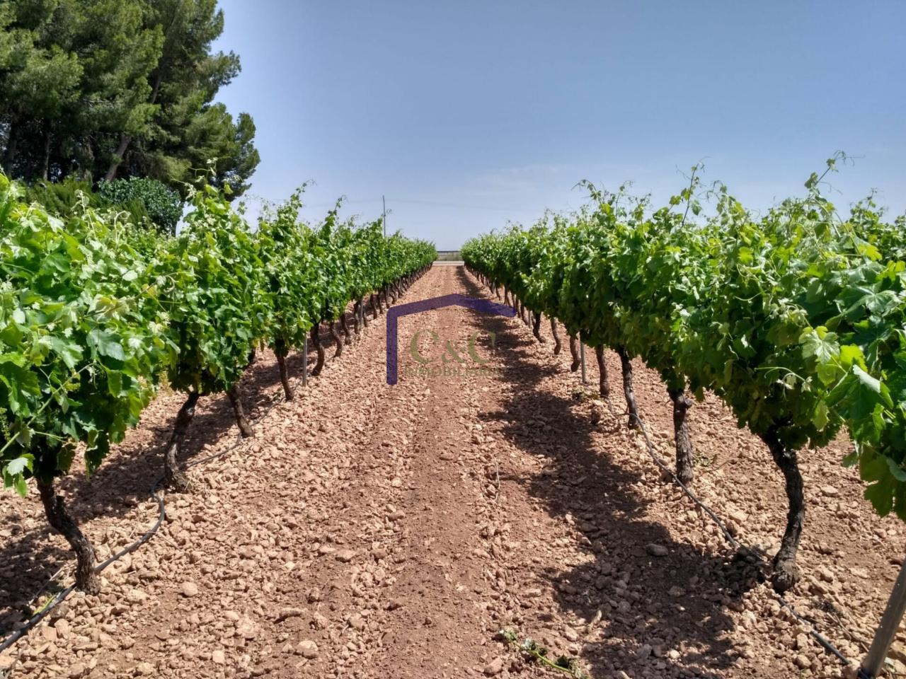 Venta de finca rústica en Manzanares