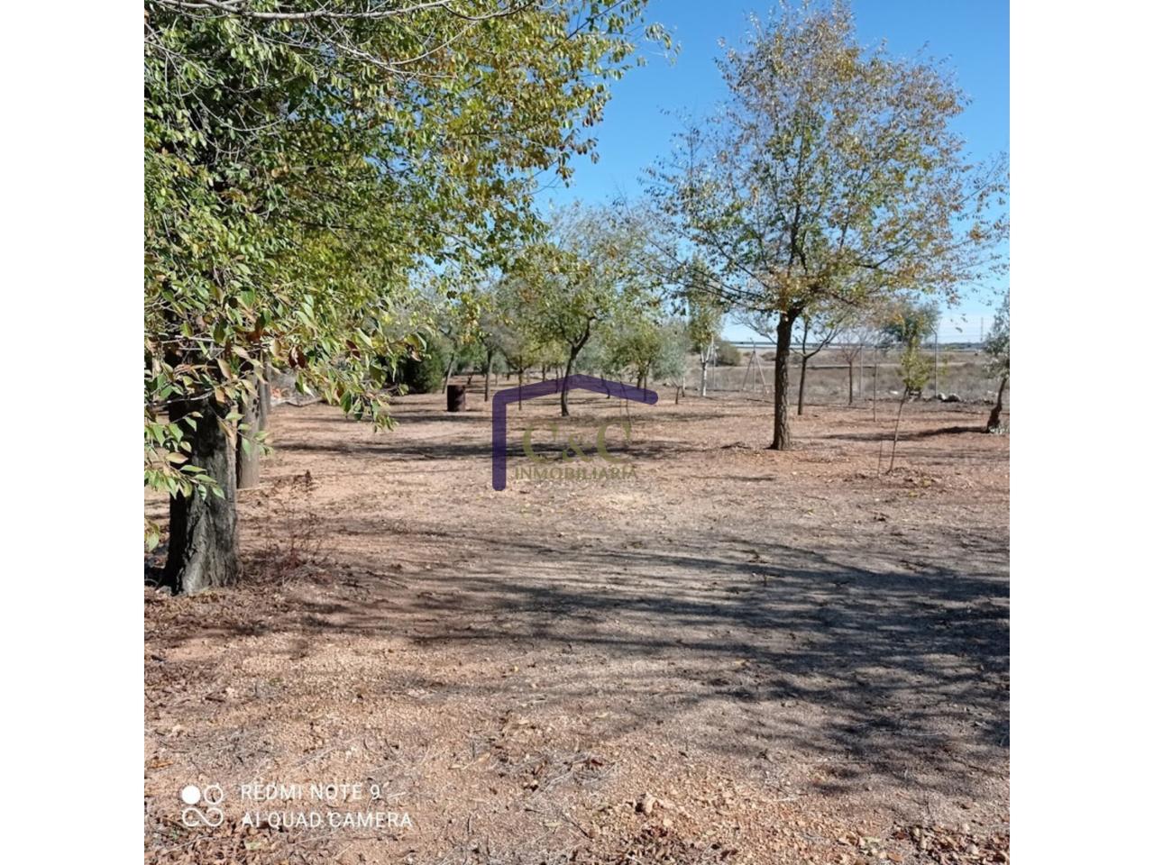 Venta de finca rústica en Manzanares