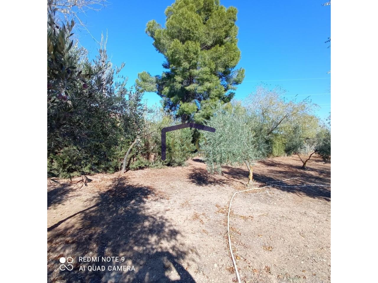 Venta de finca rústica en Manzanares