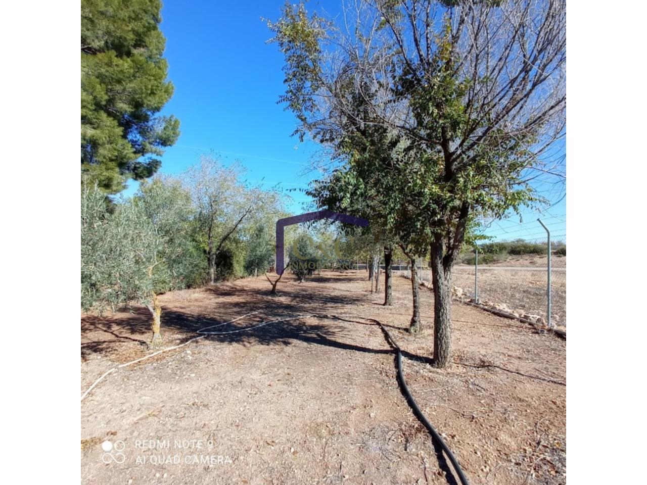 Venta de finca rústica en Manzanares