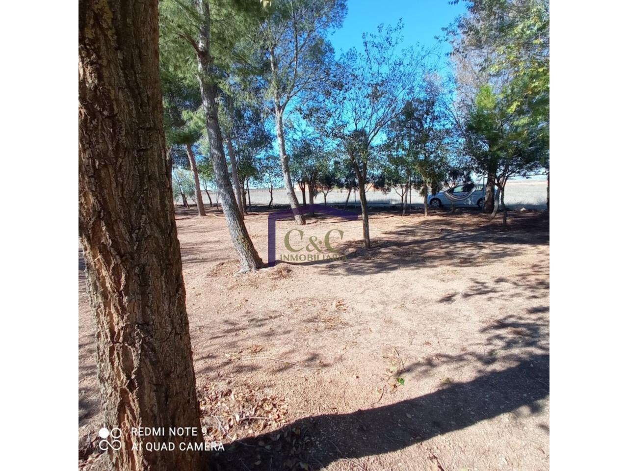 Venta de finca rústica en Manzanares