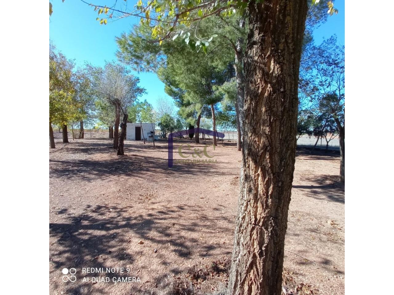 Venta de finca rústica en Manzanares