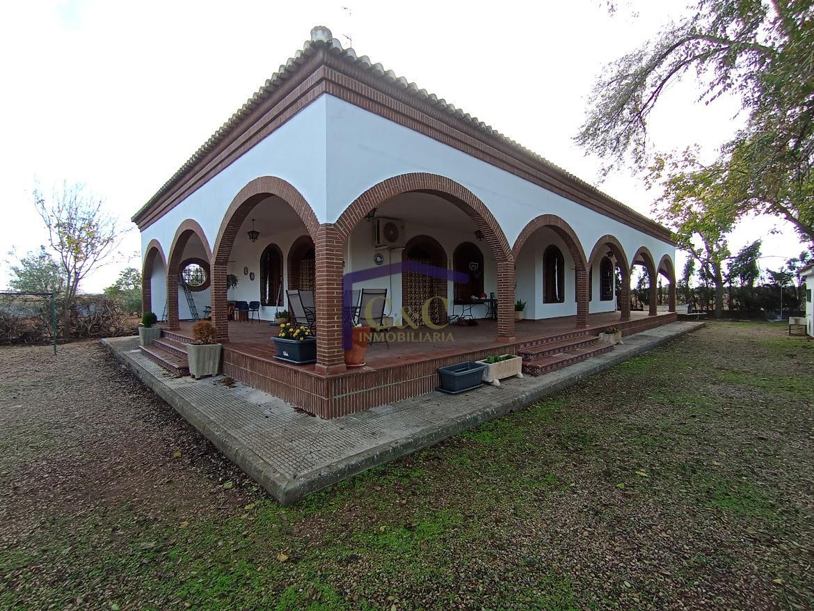 Venta de finca rústica en Manzanares