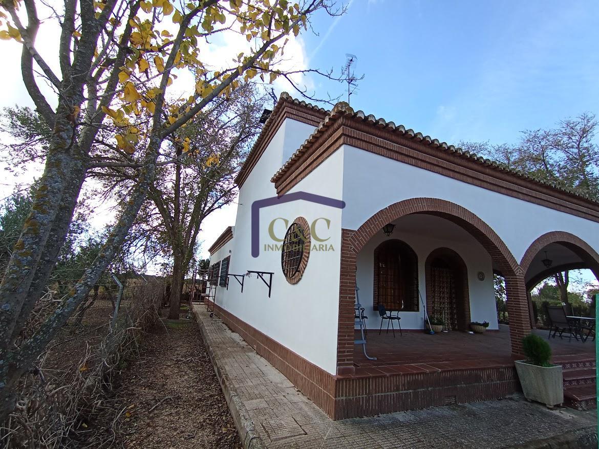 Venta de finca rústica en Manzanares