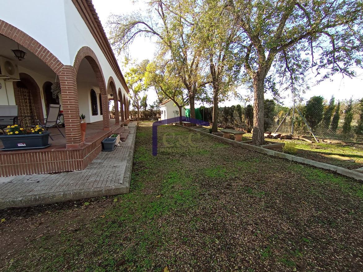 Venta de finca rústica en Manzanares