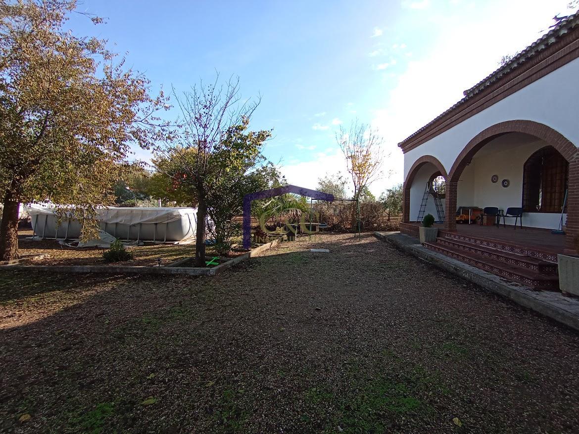 Venta de finca rústica en Manzanares