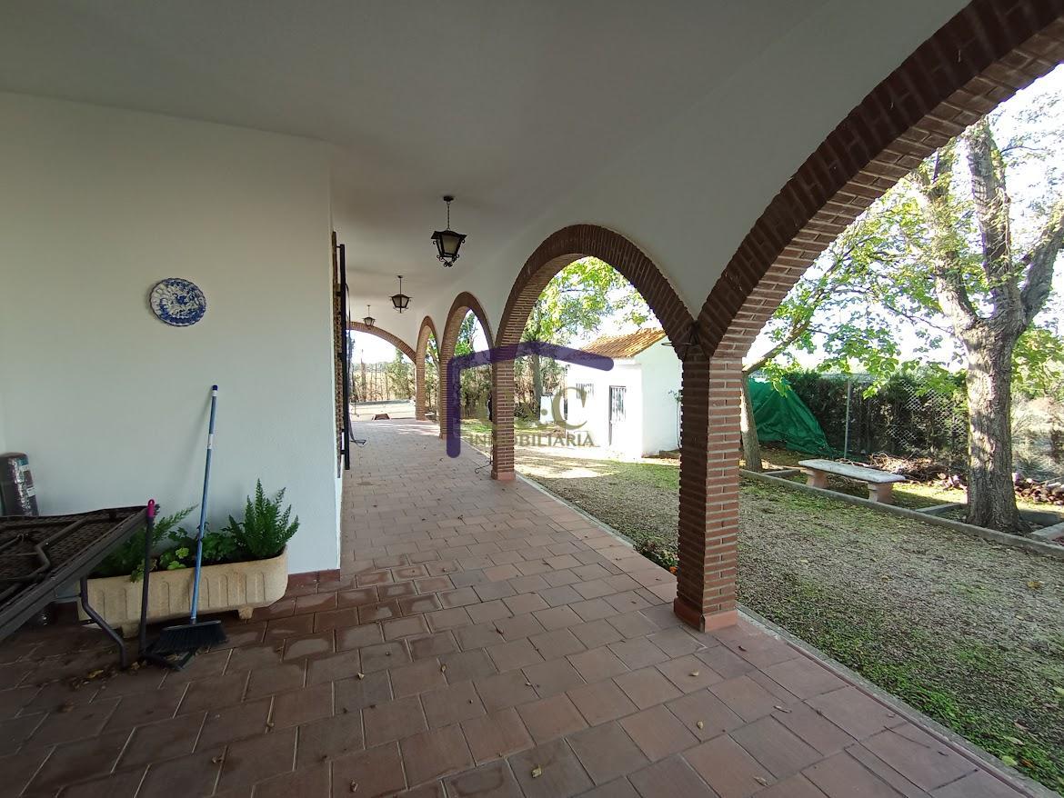 Venta de finca rústica en Manzanares