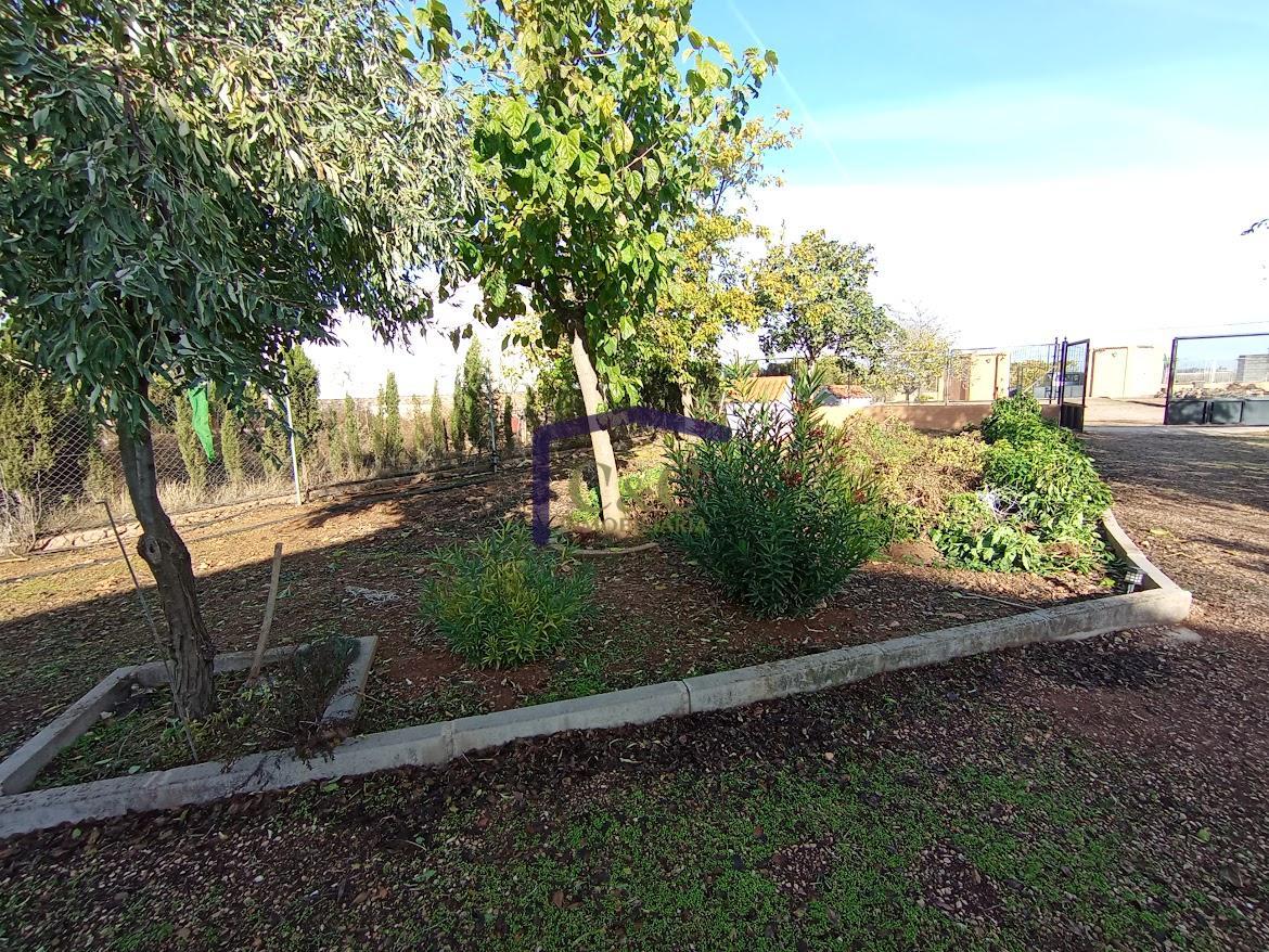 Venta de finca rústica en Manzanares